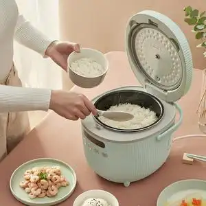 小电饭锅1-2人定时图片