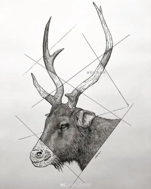 点绘,一组动物集.作者