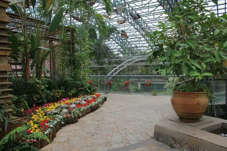 深圳东部华侨城之二:四季植物馆(摄影)