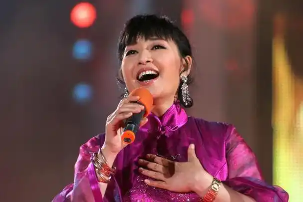 殷秀梅简历(歌唱演员殷秀梅简历)