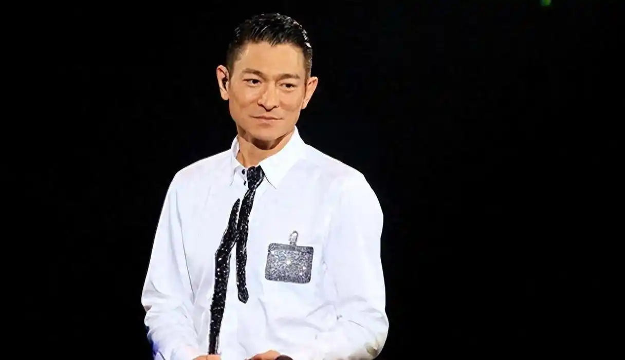 来自中国东北黑龙江省鸡西市的普通农村男孩,因为长得极似巨星刘德华