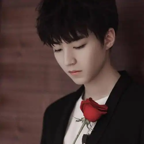 【微信头像】王俊凯