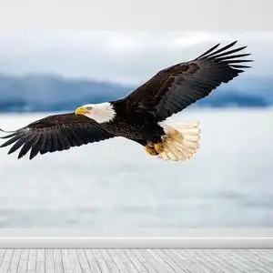 猎鹰擎天7g1v头像