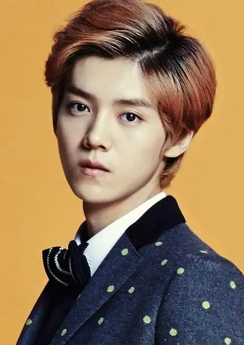 鹿晗十款帅气发型,鹿晗的发型可谓是时尚多变!