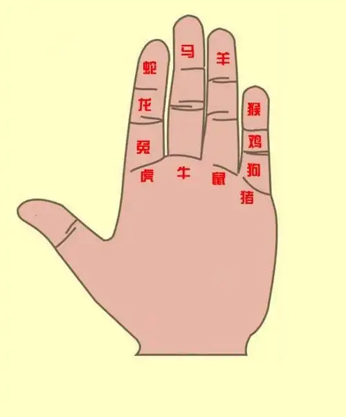 十二生肖傻傻分不清?轻松记忆"地支掌",学会了一辈子受益