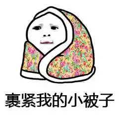 裹着被子的小人表情包