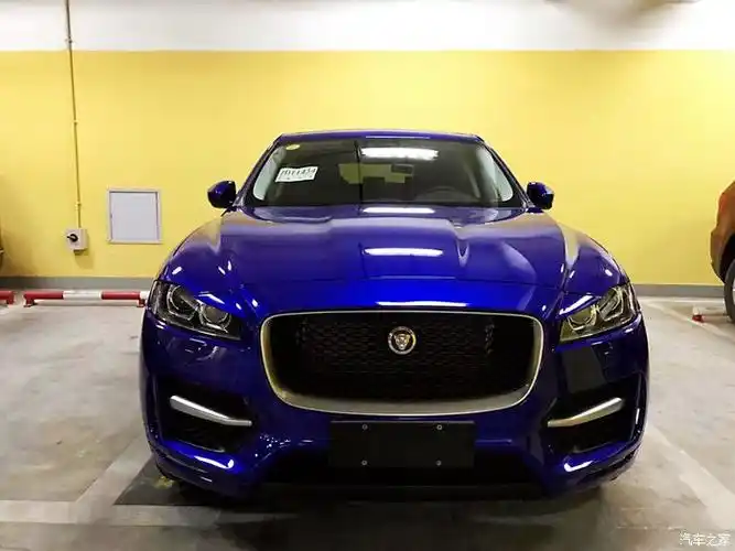 钟爱的小豹子 给我的是安全感!_捷豹f-pace论坛_汽车之家论坛