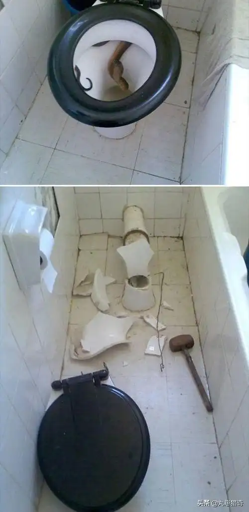 澳洲大陆有多恐怖?