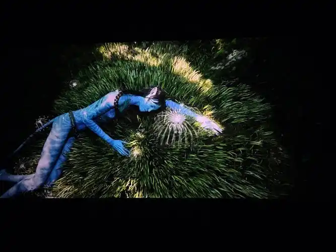 vip中pcineplex阿凡达首映