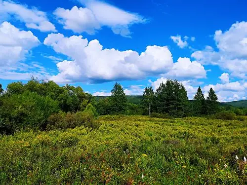 内蒙古的蓝天估计西藏也会羡慕
