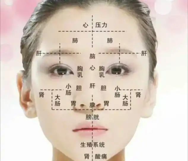 你知道吗?脸部就是五脏六腑的活地图