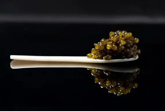 如何辨别鱼子酱是否变质?鱼子酱为什么那么贵? - 大众健康网