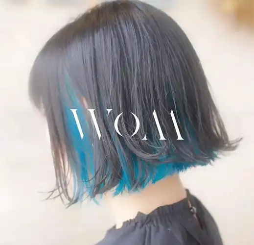 个性染发"隐藏染"