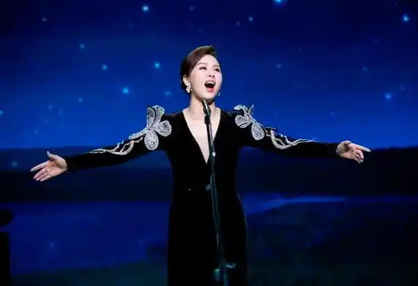 青年艺术人才专场丨王雅洁独唱音乐会追寻精彩上演