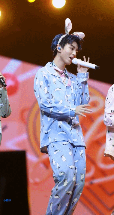 8.11王俊凯周年演唱会 cr.跳跳虎小蜜蜂