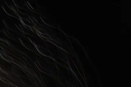 黑色圆点背景素材jpg图片免费下载_编号vdphy9qwv_图精灵