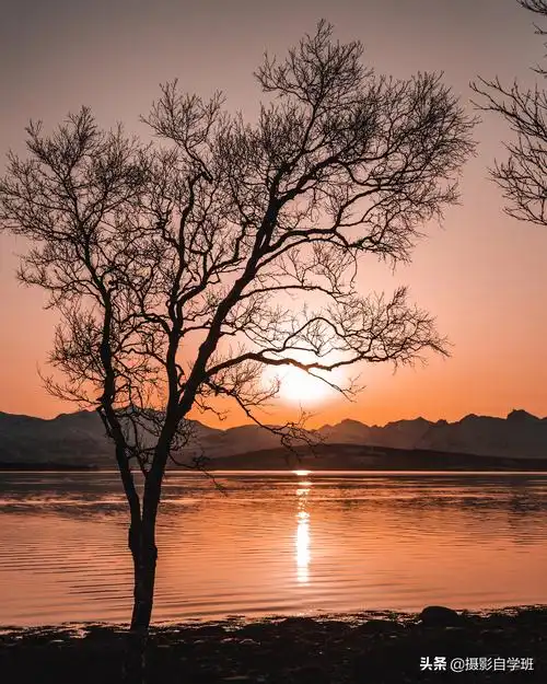 那些漂亮照片,都是咋拍的?这4个光影摄影技巧,帮你搞定