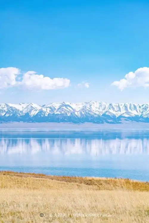 小鱼大视界##是什么让你对新疆疯狂心动##说走就走的旅行