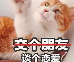 恋爱 撩妹斗图2020-01-14 18:11:40 自从表情包的出现,很多人聊天不