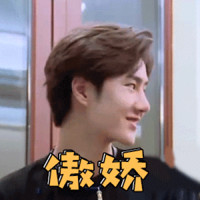 王一博哇哦表情包