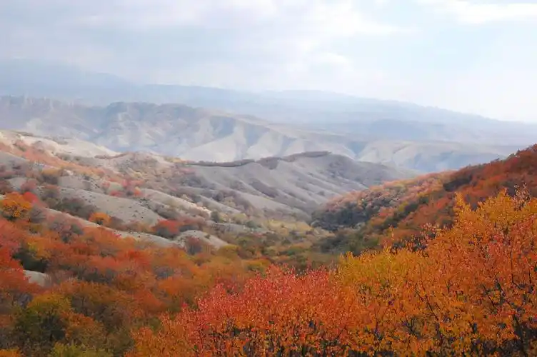 伊犁大西沟福寿山秋色