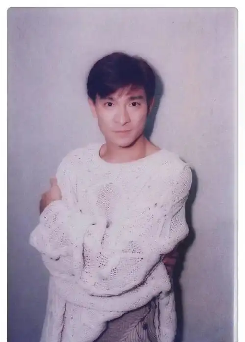 全世界最好的偶像刘德华