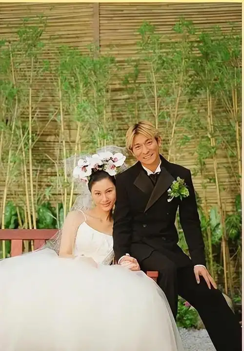 她陪伴刘德华26年,如今42岁仍然未婚,眼睁睁看着他娶了别的女人