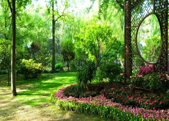 苏州的春天美景风景图片苏州春天赏光好去处摄影图片