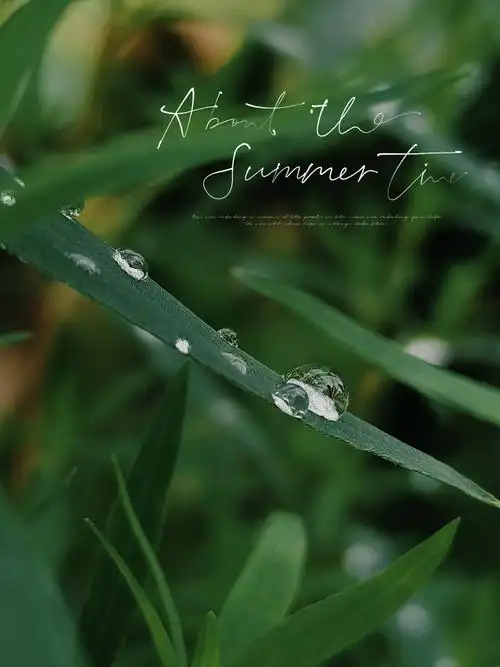 墨绿色 - sodoli - 图虫