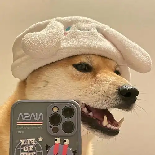 有没有那种特别可爱的狗狗的照片可以做头像那种的