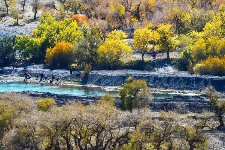 壮观的雅丹地貌蜿蜒的白杨河金色的胡杨一幅五彩斑斓的画卷