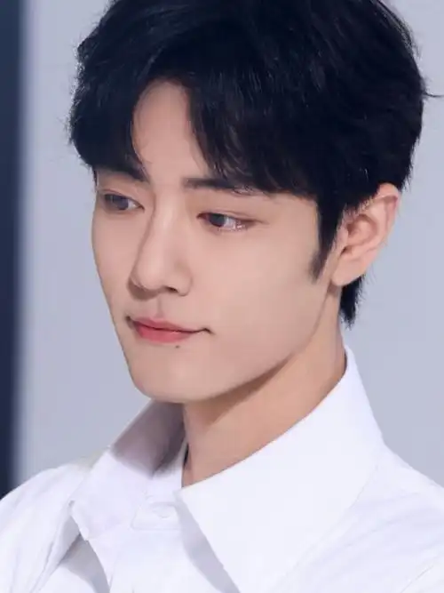 肖战郭靖##肖战电影射雕英雄传侠之大者##肖战藏海##肖战藏海传##藏