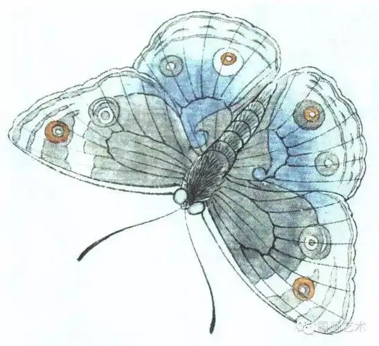 图文教程李晓明工笔蝴蝶设色步骤示范二