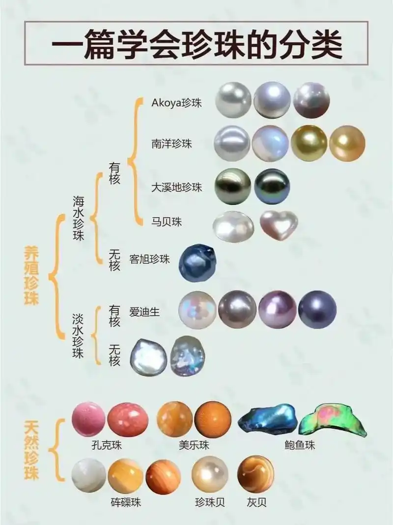 珍珠知识科普之珍珠的分类.