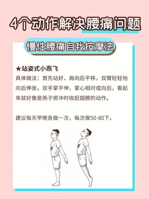 分享734个动作缓解腰痛