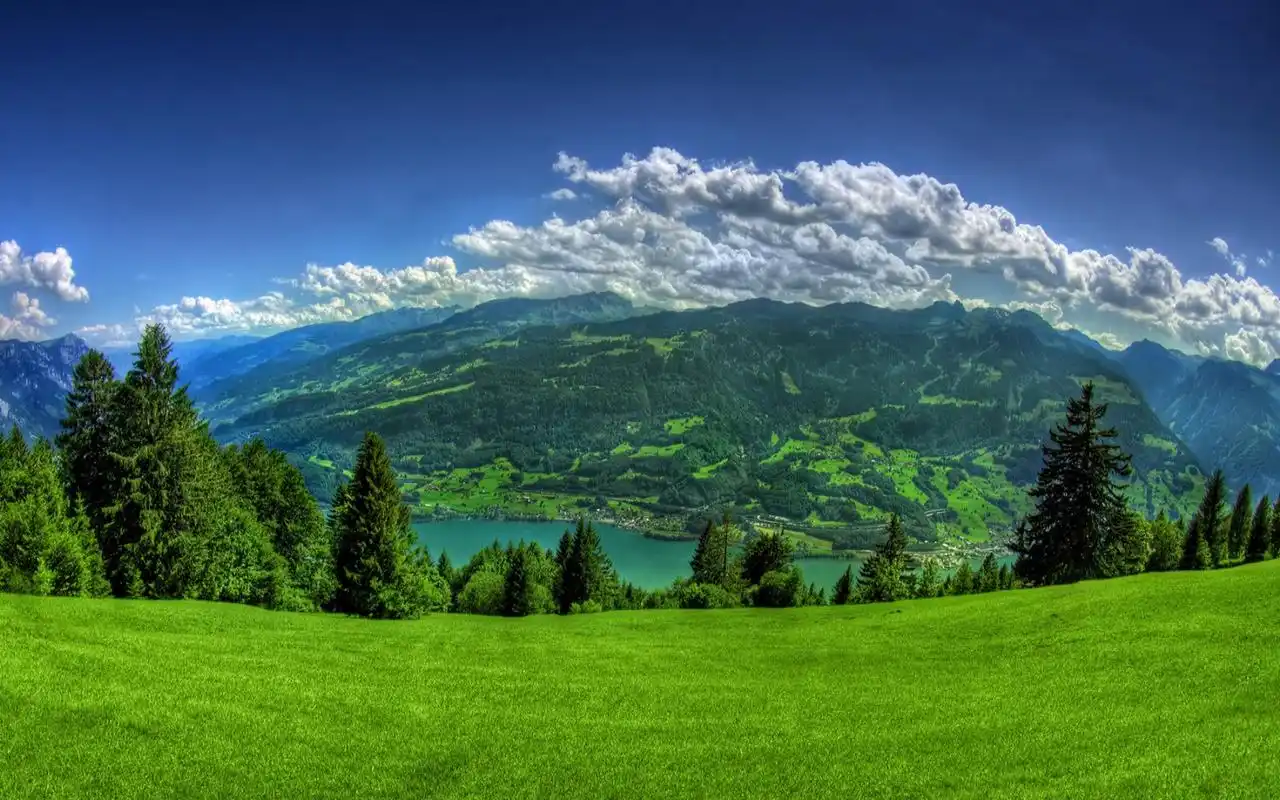 绿色护眼自然风光高清桌面壁纸