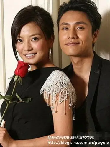 盘点赵薇老公最佳人选  wbr>陈坤最适合(组图)