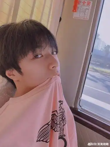 新晋狼崽—刘耀文