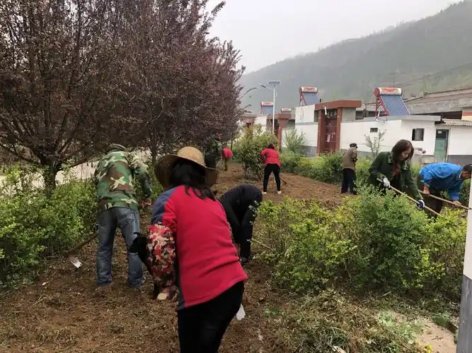 改善农村人居环境 建设美丽宜居乡村