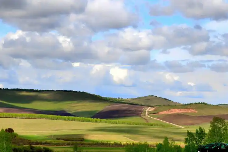 六月的草原蓝天白云,青草依依