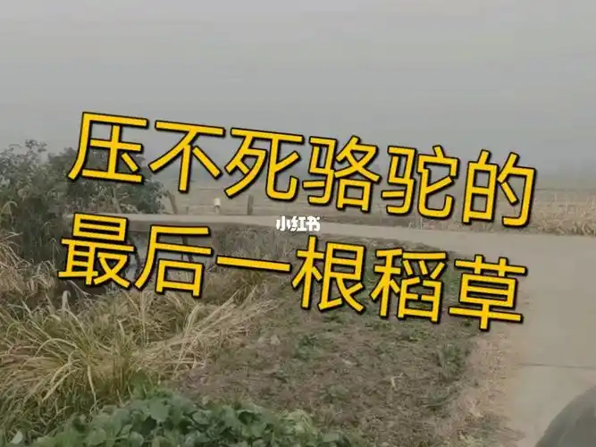 压不死骆驼的最后一根稻草