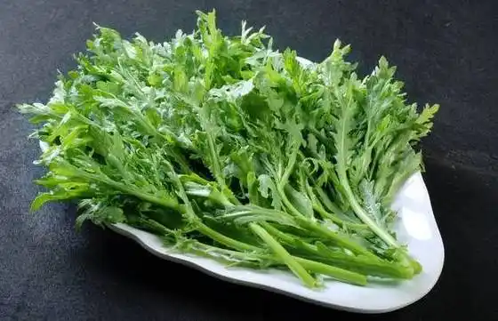 上榜理由:茼蒿.