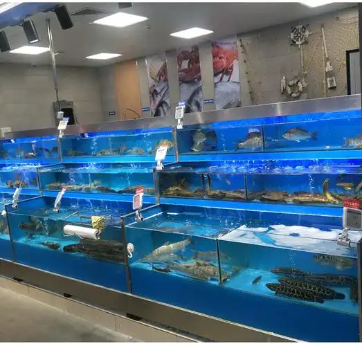 海鲜餐厅鱼缸移动恒温海鲜池海鲜鱼缸贝类池商用饭店超市制冷机一体