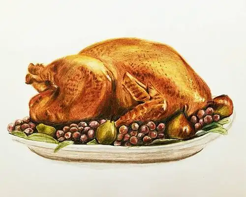 【彩铅教程53】感恩节圣诞节大餐 烤火鸡 by 驴大萌