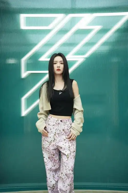 蔡文静聊《乘风2024》:接受"搞笑女"称号,希望努力被看到