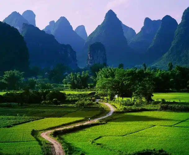 绿水青山就是金山银山