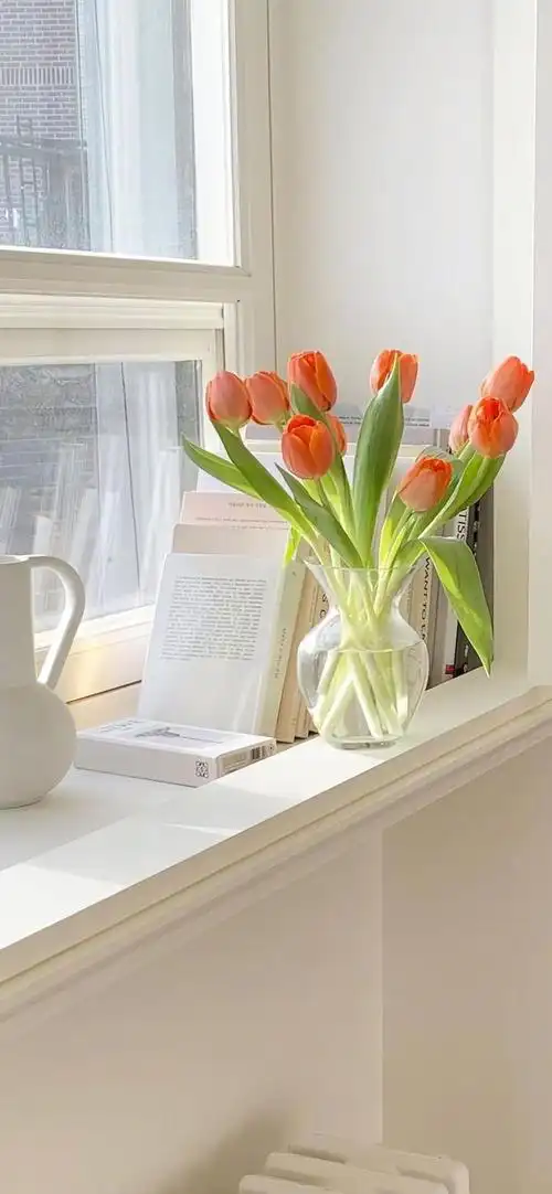 清新ins风简约锁屏壁纸_网易订阅