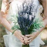 薰衣草女孩头像唯美手拿薰衣草女孩头像图片
