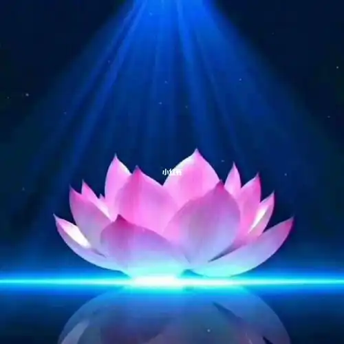 愿生西方净土中 ,九品莲花为父母,花开见佛悟无生 ,不退菩萨为伴侣.