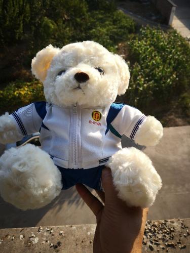 山东省实验中学公仔娃娃(可定制定做各个学校的)